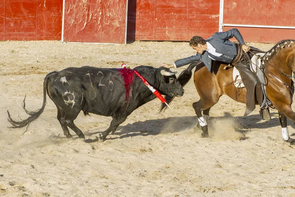 Madrid Spanje September 2010 Stierengevecht Met Paarden Ook Bekend Als — Stockfoto