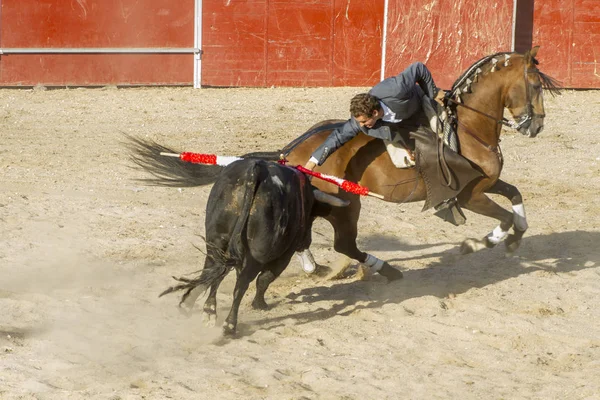 Madrid, İspanya - 10 Eylül 2010: boğa güreşi ile at nalı, rejoneadores olarak da bilinir. geleneksel İspanyol Festivali nerede cesur bir boğa kum adam karşı karşıya
