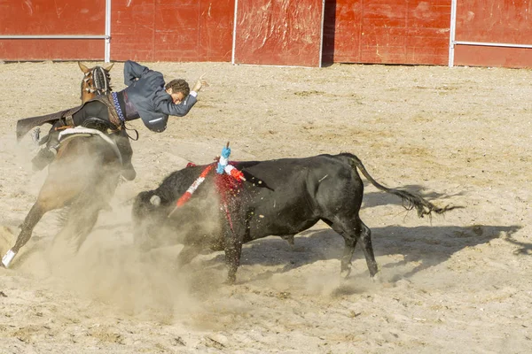 Madrid Spanien September 2010 Stierkampf Mit Pferden Auch Als Rejoneadores — Stockfoto