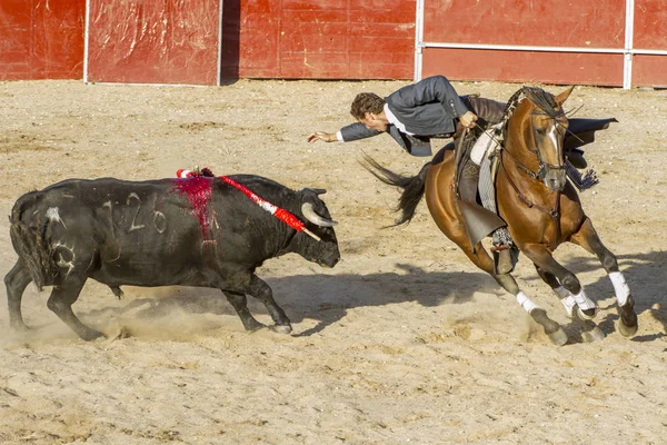 マドリッド スペイン 2010 闘牛馬 Rejoneadores として知られています 伝統的なスペインのお祭り男 砂で勇敢な牛に直面しています — ストック写真