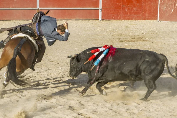 マドリッド スペイン 2010 闘牛馬 Rejoneadores として知られています 伝統的なスペインのお祭り男 砂で勇敢な牛に直面しています — ストック写真