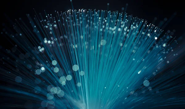 Włókna Światłowodowe Wyświetlone Dane Lub Internet Komunikacja Koncepcja — Zdjęcie stockowe