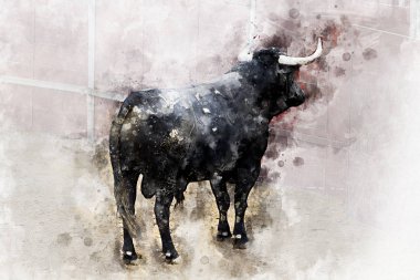 Watercolor, Bullfight. Fighting bull picture from Spain. Black bull clipart