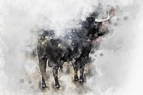 Akvarell Tjurfäktning Fighting Tjur Bild Från Spanien Svarttjur — Stockfoto