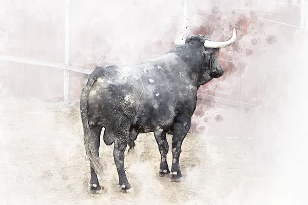 Watercolor Bullfight Fighting Bull Picture Spain Black Bull — Stock Photo, Image