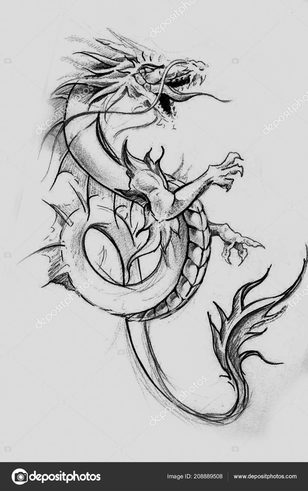 Tattoo Sketch Handmade Design Vintage Paper Stock Photo by ©outsiderzone  208889508