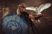 Bojovník, krásná bílá sova, Viking blondýnka s štít a meč, copánky ve vlasech.