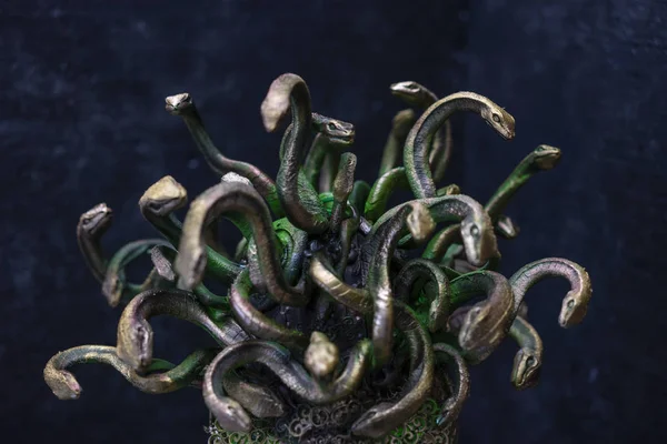 Kopf Medusa Geschöpf Der Griechischen Mythologie Stücke Die Von Hand — Stockfoto