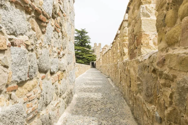 Murallas Ciudad Ávila Castilla Len España Ciudad Medieval Fortificada —  Fotos de Stock