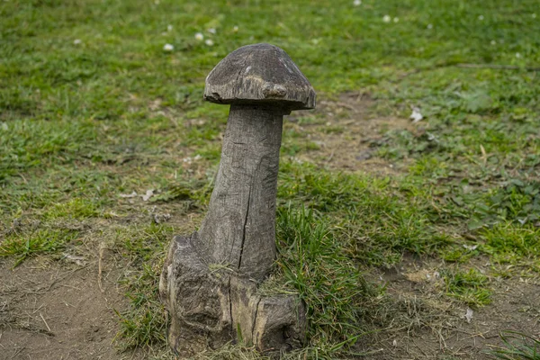 Mushroom Carved Tree Forest Work Artisan Man Carving Pieces Dead — Stock Photo, Image