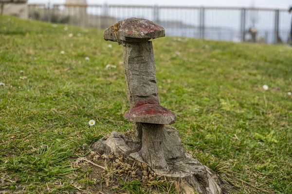 Cogumelo Esculpido Uma Árvore Uma Floresta Trabalho Artesão Homem Esculpindo — Fotografia de Stock