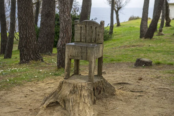 carved chair in a tree in a forest, work of the artisan man who carves pieces in dead trees