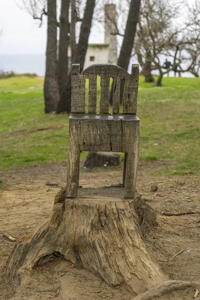 Cadeira Esculpida Uma Árvore Uma Floresta Trabalho Artesão Que Esculpe — Fotografia de Stock