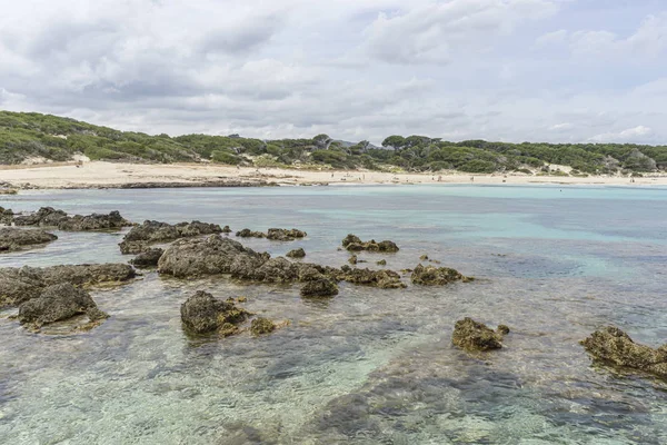 Földközi Tenger Fagyos Sziklák Ellen Spanyol Sziget Mallorca Ibiza Spanyolország — Stock Fotó