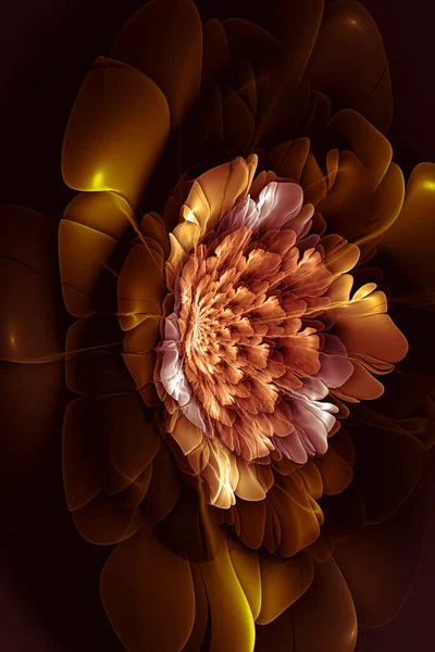 Garden Creative Background Large Petal Flower Decorative Image Advertising Designs — Stock Photo, Image