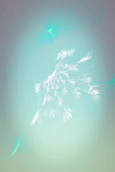 Kert Kreatív Háttér Nagy Szirom Virág Dekoratív Kép Reklám Vagy — Stock Fotó