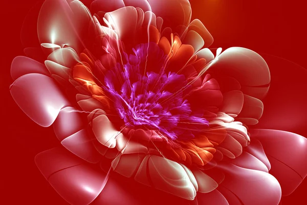 Red Fractal Flower Meditation Peace Relaxation Abstract Modern Background Fractal — Stock Photo, Image