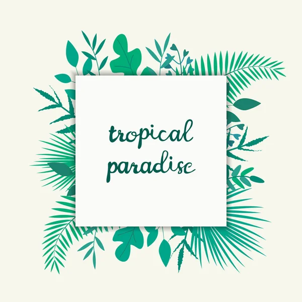 Ilustração vetorial com folhas tropicais e texto Paraíso tropical sobre fundo branco . — Vetor de Stock