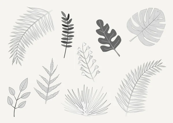 Vektorillustration Mit Einer Reihe Isolierter Tropischer Blätter Skizzenstil Auf Weißem — Stockvektor