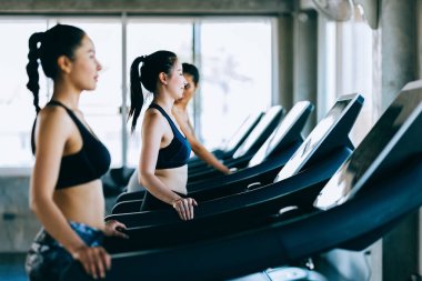 Bir grup sağlıklı ve çekici sporcu kadın koşuyor.