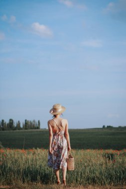 Geri bir hasır şapka bir demet papatya çiçeği tutarak ve koku lanvender alan batan güneşin ışığında ortasında zevk olan güzel kadın