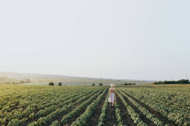 Genç nazik kadın günbatımı ışık demeti rahatlatıcı. Tam uzunlukta portre alanında