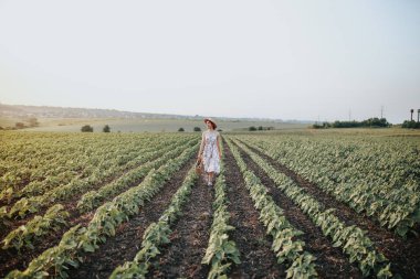 Açık yaz sepet çilek, hasır şapka ile genç kız portresi. Ülke yolda bir kız arkadan görünüm. Doğa arka plan, kırsal manzara, yeşil çayır, ülke stil