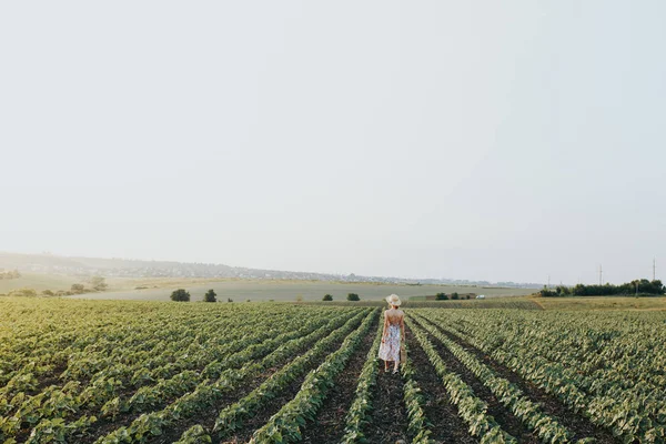 Genç nazik kadın günbatımı ışık demeti rahatlatıcı. Tam uzunlukta portre alanında