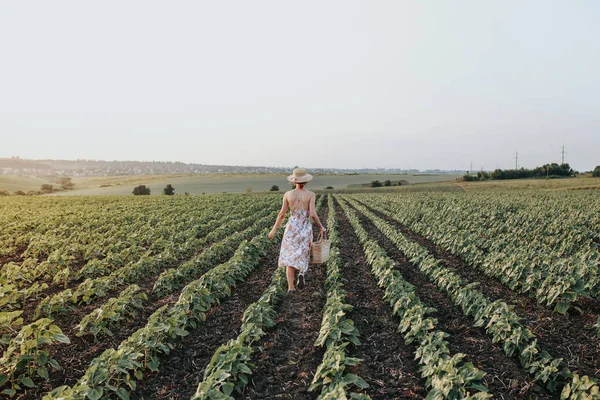 Bir sepet içinde alan kızla