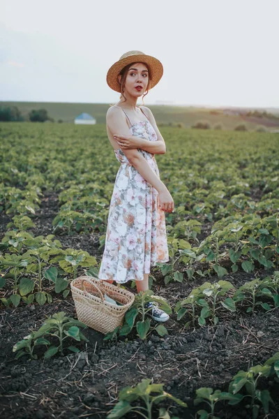 Foto conceptual para la publicidad agrícola, chica en el campo —  Fotos de Stock