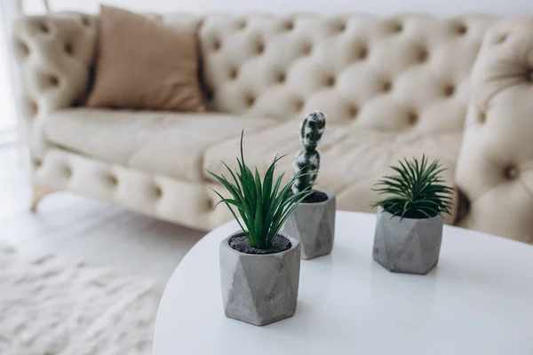 Beyaz masadaydı Aloe Vera.