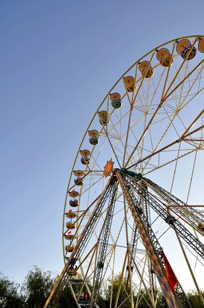 Attraction wheel review over park at summer evening time