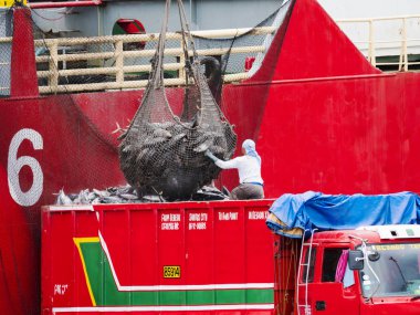 General Santos City, Filipinler - 16 Ekim 2018: sarı yüzgeçli orkinos balık tutma bağlantı noktası General Santos City, Tuna sermaye Türkiye bir besleyici gemisinden bir kamyonla yüklenmekte olan donmuş.