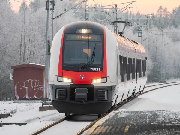 Norveç'te bölgesel tren