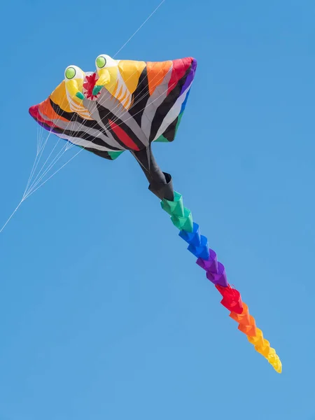 ケランタン国際凧フェスティバル2018 — ストック写真