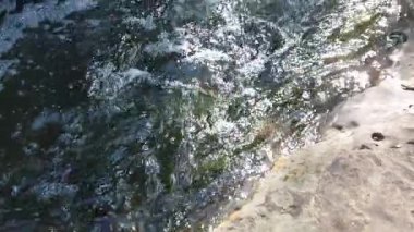 Çiçek Höyük Texas Stone Creek Yavaş hareket video.