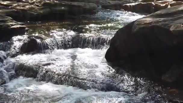 Повільний Рух Відео Stone Creek Квітковий Курган Техасу — стокове відео