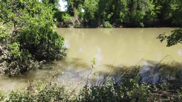 Elm Fork Trinity Río Inundación Después Lluvia Situado Irving Texas — Vídeo de stock