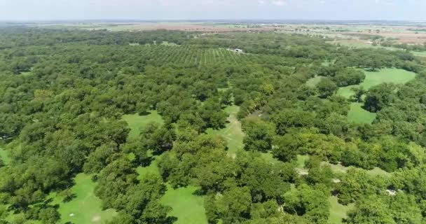 Aerial Pecan Orchard в Сан-Саба, Техас Стоковый Видеоролик