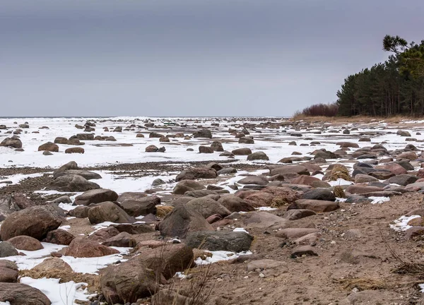 Rocks and snow on the coast of frozen Baltic sea under the cold sordid blue sky in Mersrags, Latvia