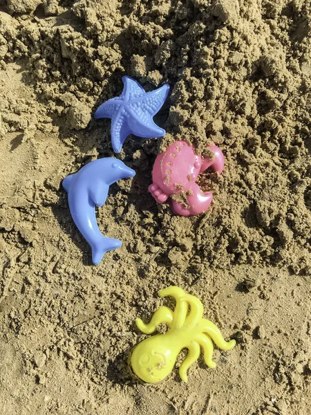 Plastic colored shapes for children play with sand on the beach. Baby plastic molds lying in the sand on the seabeach. Four bright summer toys in the sand in sunny summer day.