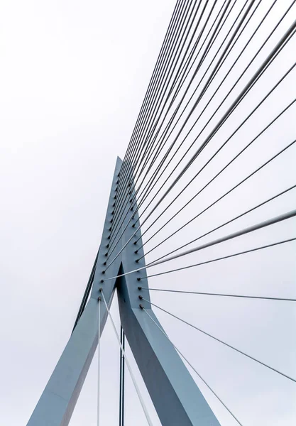 Pilón Azul Pálido Cables Del Puente Erasmusbrug Contra Cielo Nublado —  Fotos de Stock