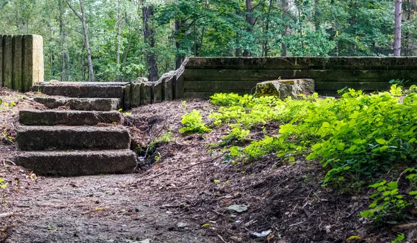 Old neglected stone stairs in the forest with green lawn brightly lit by the morning sun.