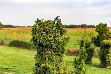 Anyksciai, Litvanya - 8 Eylül 2018: Bush ile ayı aile içinde belgili tanımlık geçmiş bir çiçek bahçesinde kedi kafası şeklinde. Yeşil kedi figürü mazı yapılan.