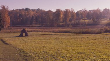 Sonbahar alan tek samanlık ve ormanın içinde belgili tanımlık geçmiş. Kırsal manzara, vintage tonda. Letonya orman sahasının hayrack.
