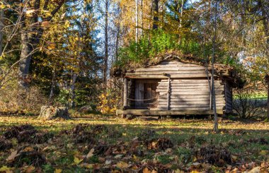 Eski ahşap günlük-beşik konut Latgallians antik kabile bir restore edilmiş taş devri yerleşim ve arkeolojik Gauja Milli Parkı'nda, Araisi, Letonya.