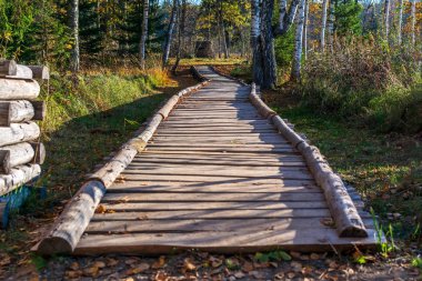 Güzel uzun ahşap yol iz ormanda Araisi Arkeoloji Müzesi Parkı, Letonya ile trekking doğa için.