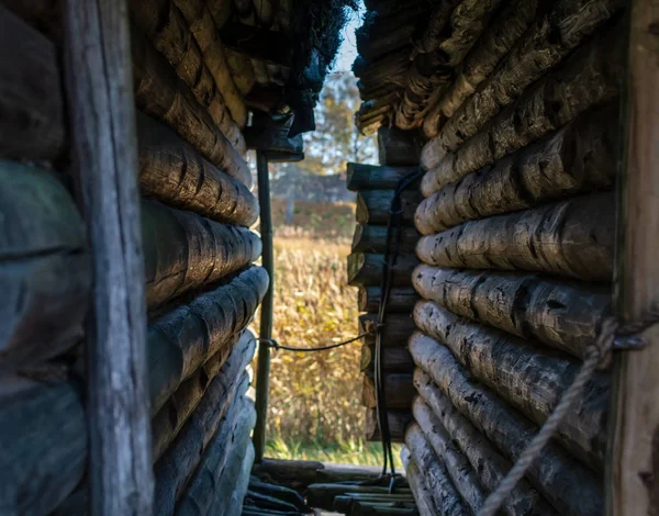 View Autumn Orange Reeds Narrow Lane Two Old Log Huts — Stock Photo, Image