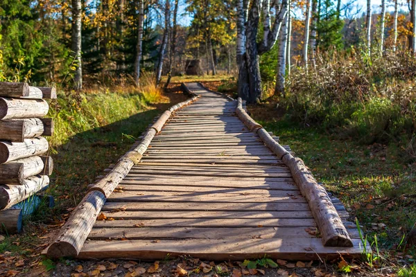 Krásná Stezka Dlouhou Dřevěnou Cestu Pro Přírodu Turistiku Lesem Kolem — Stock fotografie