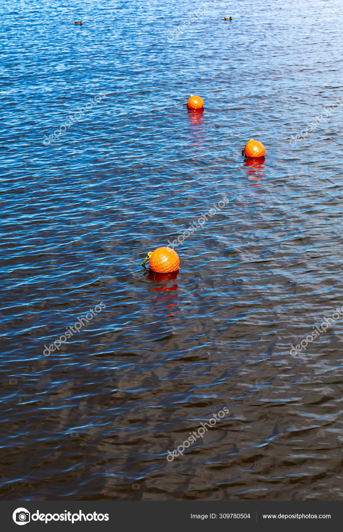 Three Bright Orange Buoys Floating River Water Surface Set Three Stock Photo Image By C Lmaximova